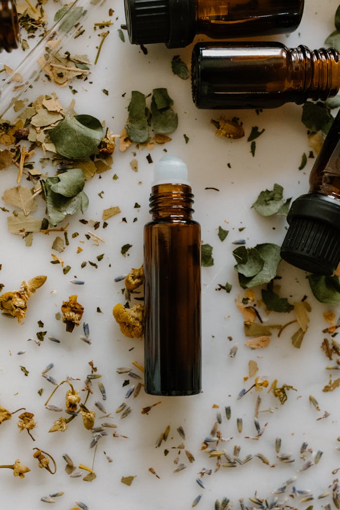 A flat lay of essential oil bottles surrounded by dried herbs, perfect for aromatherapy or natural remedy themes.